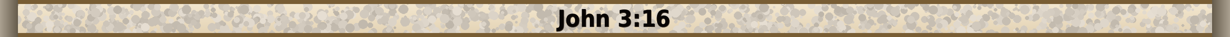 John 3:16